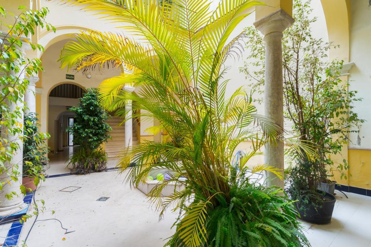 Cozy Duplex - 2 Bathrooms - Historic Centre Apartment *